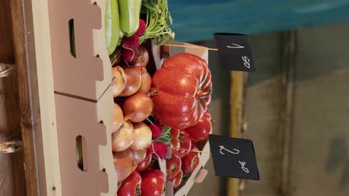 Vertical Video Boxes Filled with Organic Fruits and Vegetables Placed on Stand