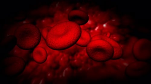 Animated Microscopic Red Blood Cells Flowing Medical Background