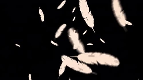 Gentle White Feathers Falling Overlay Animation