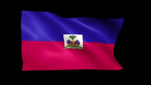 Haitian Flag Waving Seamless Loop Animation
