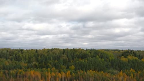 Spätherbst in einem wilden Waldgebiet, niedrige Regenwolken über Bäumen am Horizont, Drohnenaufnahme aus der Luft, Winter