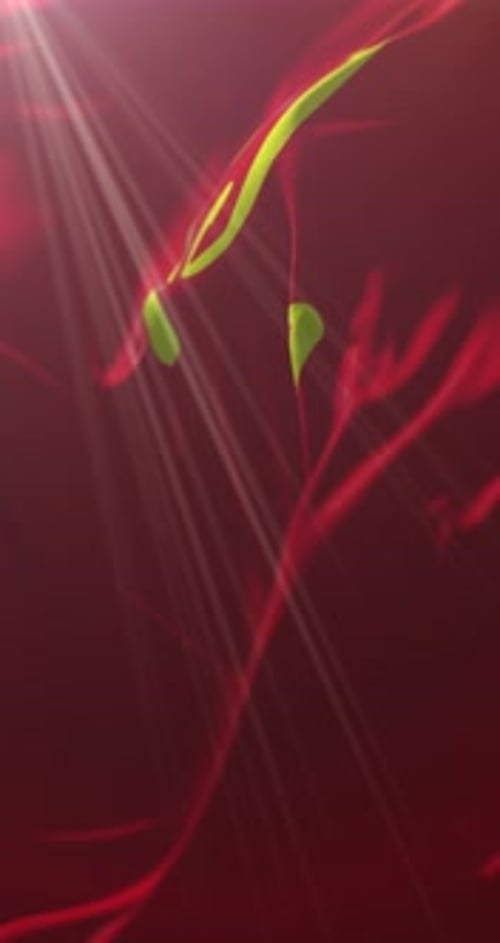 Abstract Fluid Red and Green Background Loop with Light Rays