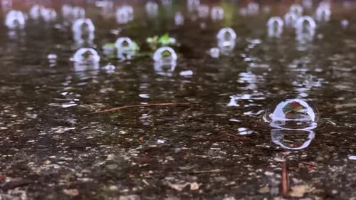 A puddle with slowly floating rain bubbles.