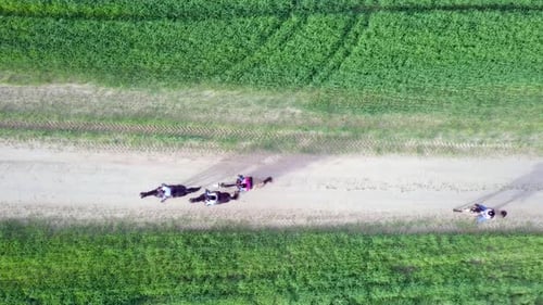 Horseback riding in a green Badlands terrain, aerial footage