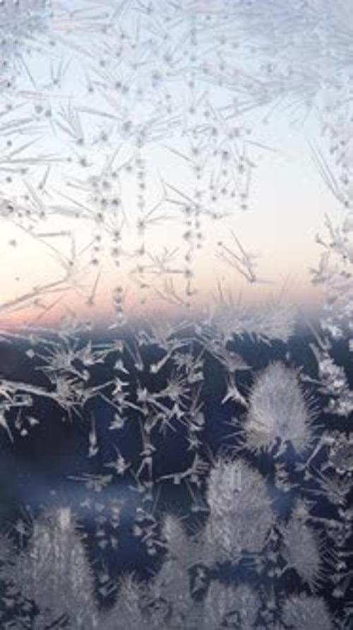 Vertical Video of Beautiful Frost Pattern on Window Early Winter Morning