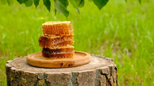 Harvest of Honey in Honeycombs in the Garden Selective Focus