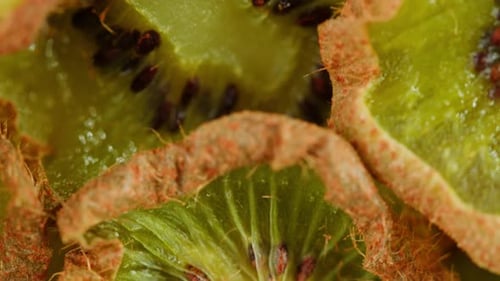 Kiwi Slices Close Up Background of Green Fresh Fruit Texture