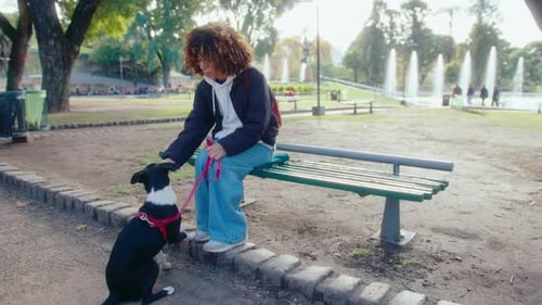 Woman Sitting on Bench in Public Park and Treating a Dog