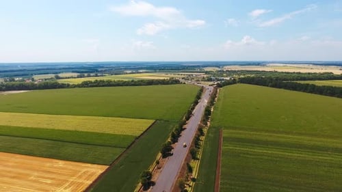 Straight highway going through the green plantations. Drone footage of agricultural plantations