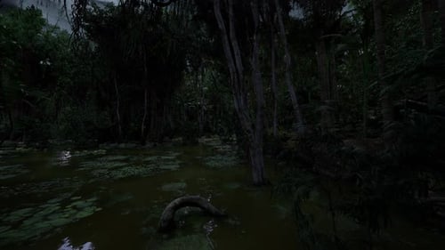 Ancienne forêt humide, vieux marais ombragé par le crépuscule avec racines et lys