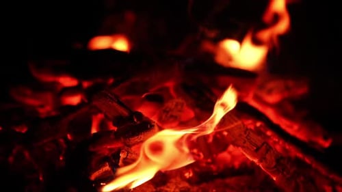 Firewood burning concept. Close up flame of campfire.