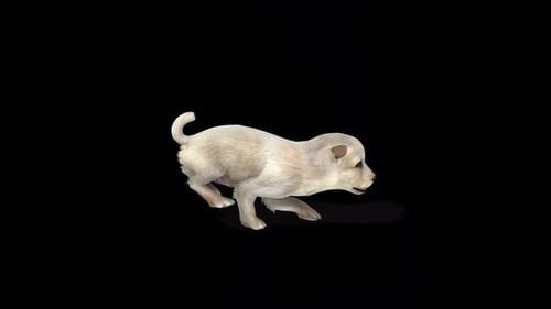 Cute Puppy Run Idle 2