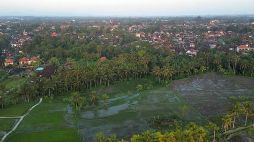 Aerial view of rice fields and Ubud town, Bali, Indonesia