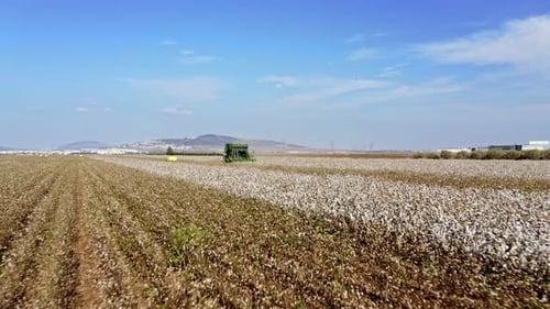 Imágenes aéreas de una cosechadora de algodón en un campo de algodón a gran escala durante la cosecha