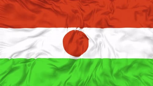 Realistic Waving Flag of Niger Animation