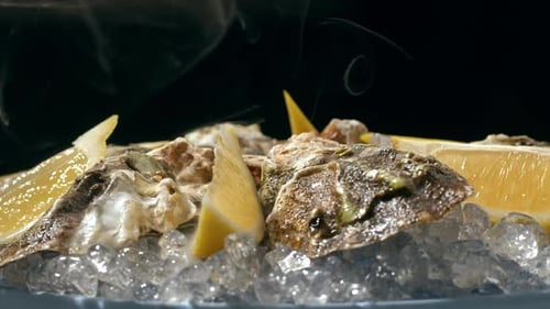 Fresh Raw Oysters with Ice French Restaurant Mediterranean Healthy Sea Food Gourment Luxury Cuisine