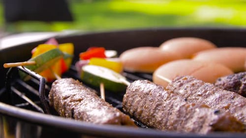 Outdoor Barbecue Cooking and Grilling Action