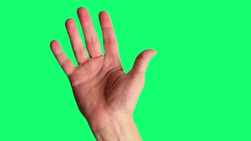 Close up shot of a male hand making a cheerful wave hello or goodbye gesture, against a greenscreen