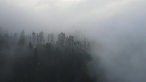 Rainy weather in mountains. Misty fog blowing over pine tree forest. Aerial footage of spruce forest