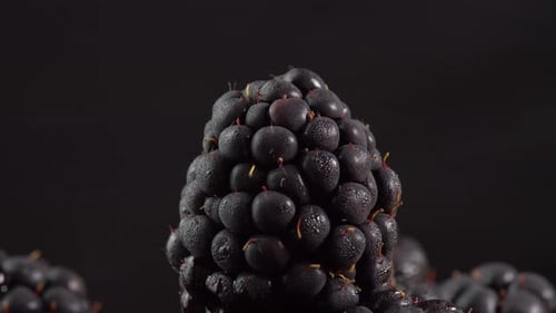 Close Up of Fresh Blackberries on Black