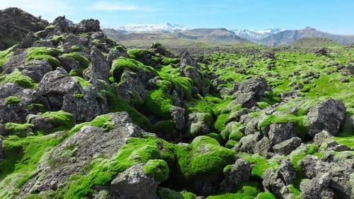 Epic Aerial View Nature Landscape Lava Fields Covered with Green Moss in Iceland Scenic National