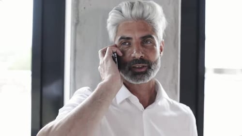 Mature businessman engaged in a phone call at his office desk