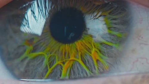Intricate Human Eye Macro Detail