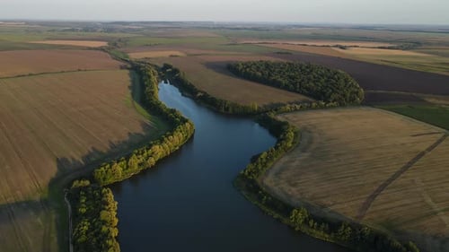 Aerial Panoramic View on the River Among Agricultural Fields