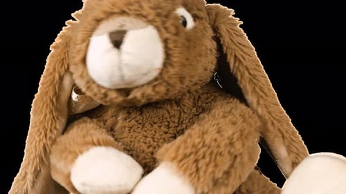Kuscheliges und flauschiges Plüschtier Hase, das spielt und tanzt. Alpha-Kanal enthalten.