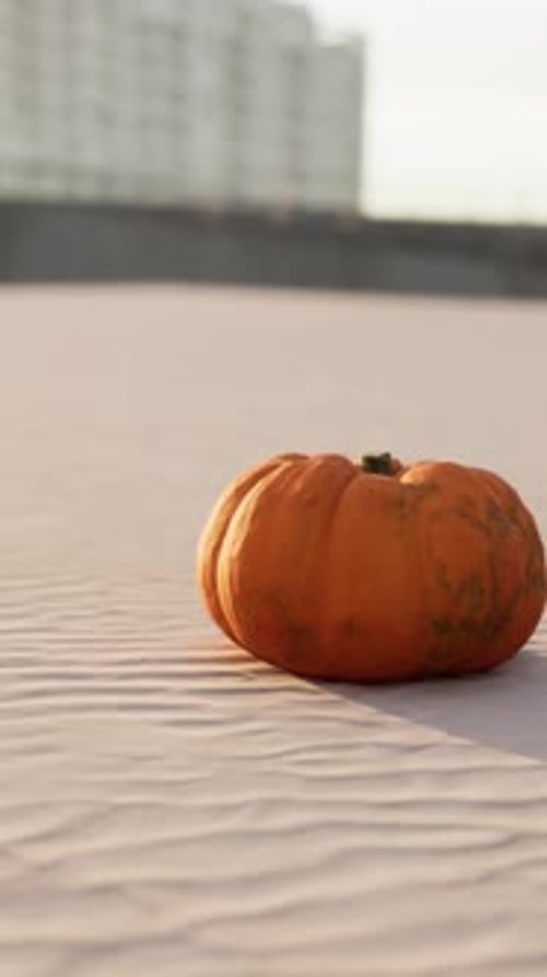 Halloween Pumpkin on the Beach Dunes