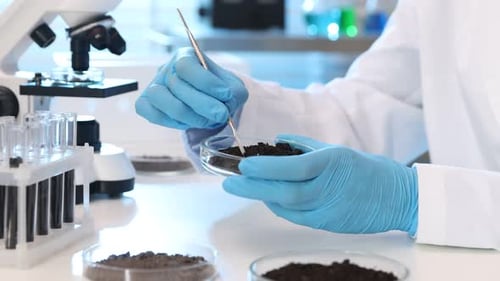 Scientist analyzing soil sample in petri dish