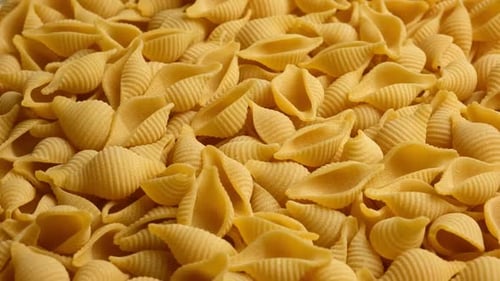 Uncooked Shell Pasta Close Up Food