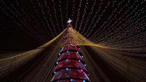 Christmas Tree In The Square