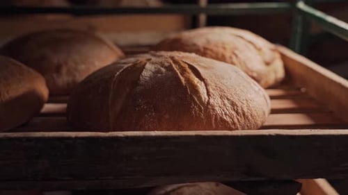 Freshly baked fragrant bread with a ruddy appetizing crust and an interesting pattern.
