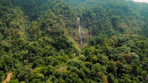 Lush Green Tropical Forest with Stunning Waterfall Aerial View