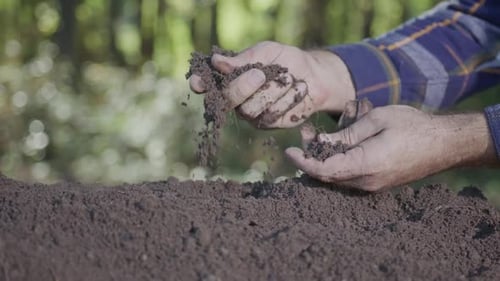Earth and Environment Protection Theme Soil in Human Hands Outdoors Eco Farming Concept with Soil