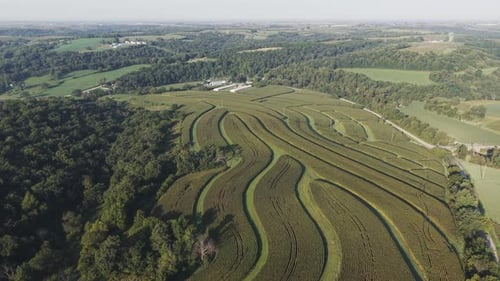 Wisconsin Contour Farm Field. Contour Farming is a conservation practice that involves performing