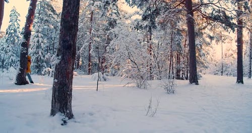 Female Hikers Walking Along a Snowcovered Forest