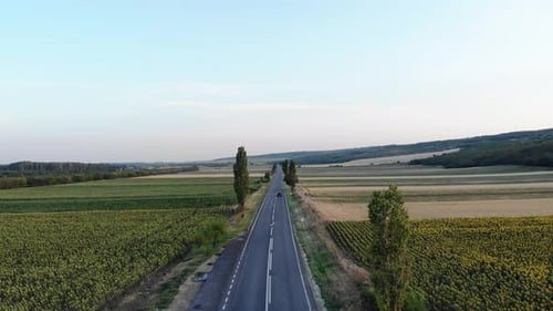 Vehicle Traveling On Road Through Green Fields - aerial drone shot