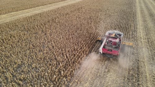 Aerial view captures a combine harvester processing rows of corn in a vast field, with dust trailing