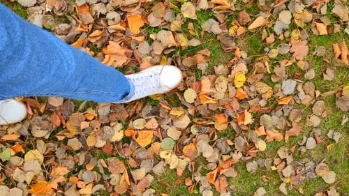 Person Walking on Fall Leaves on Grass