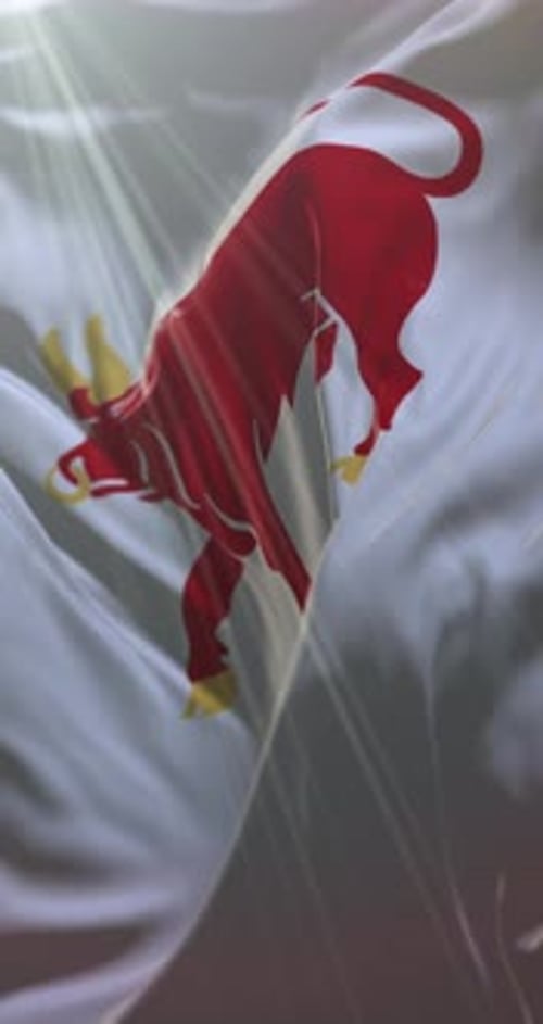 Red Bull Flag Waving Loop with Realistic Fabric Movement
