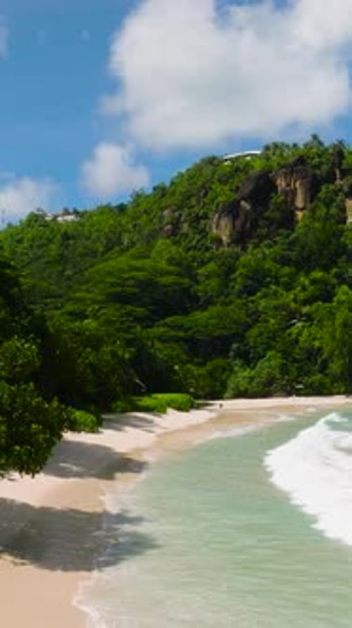 Tropical Greenery Along a Calm Turquoise Bay Seychelles Mahe