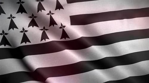 Waving Flag with Fabric Texture and Dynamic Light Leaks