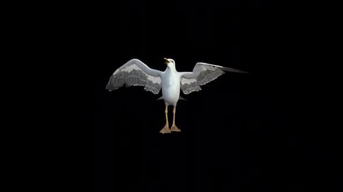 Seagull Run