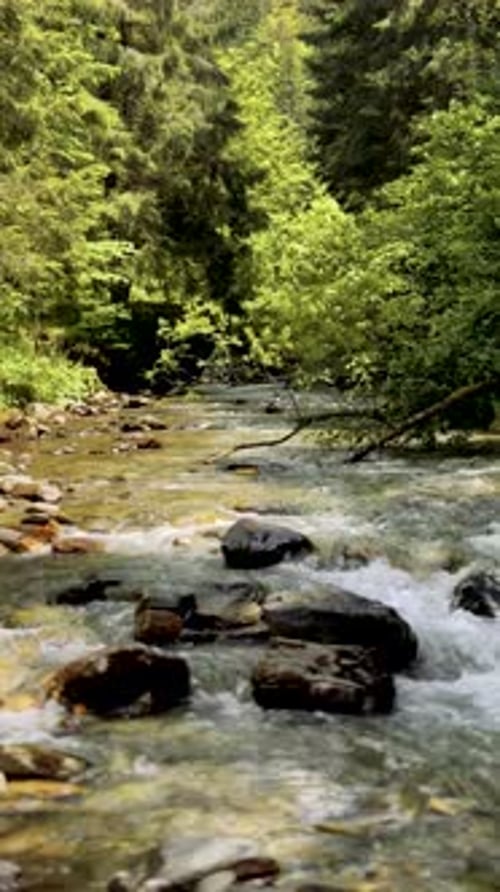 4k cinematic relaxing footage of the river and it's amazing sound in a forest