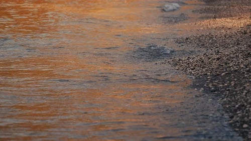 Beach in Summer