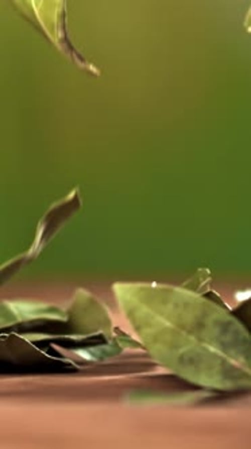 A Bay Leaf Falls on the Table Filmed on a Highspeed Camera at 1000 Fps