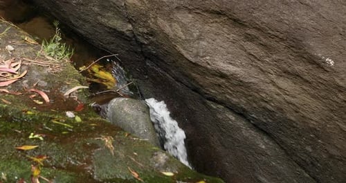 Freshwater Creek On Mossy Rock In Forest. Close Up
