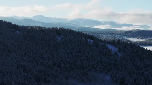 Mount Evans Blue Sky Evergreen Meadows Conifer Colorado aerial drone Colorado sunset golden hour